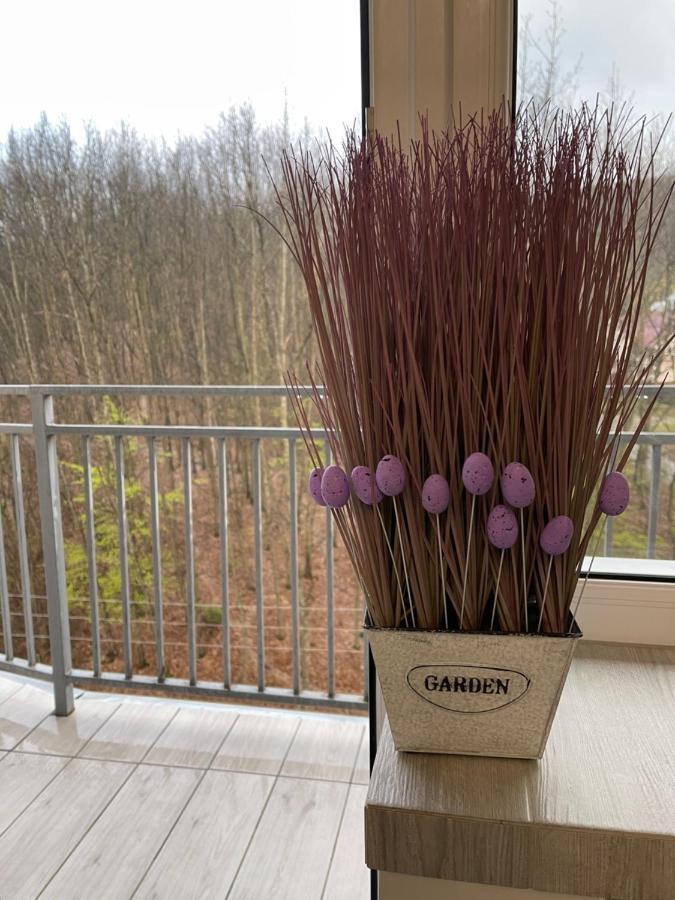 Апартаменты Luxury Lavander Polyana  Esterno foto